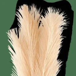 Cheap CASA PLUME Pennacchi Decorativi Crema