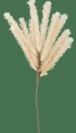 Shop CASA PLUME Pennacchio Artificiale Beige