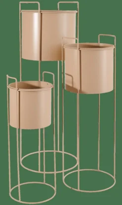 New CASA PLUTO Crema
