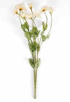 Best CASA RONDA Vaso Beige