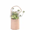Flash Sale CASA ROPE Decorazione Di Filo Naturale