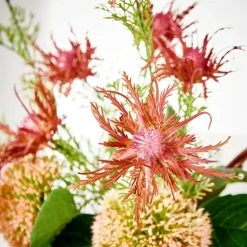 Hot CASA RUBY Pianta Artificiale Rosso