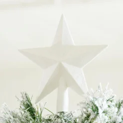 Outlet CASA STAR Decorazioni Secche