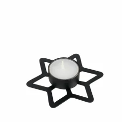 Outlet CASA STAR Decorazioni Secche