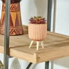 Store CASA STRIPE Succulente Finto In Vaso Multicolore
