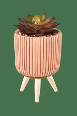 Store CASA STRIPE Succulente Finto In Vaso Multicolore