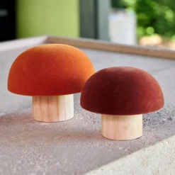 Discount CASA VELVET Fungo Naturale, Multicolore